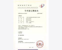 發(fā)明專利2